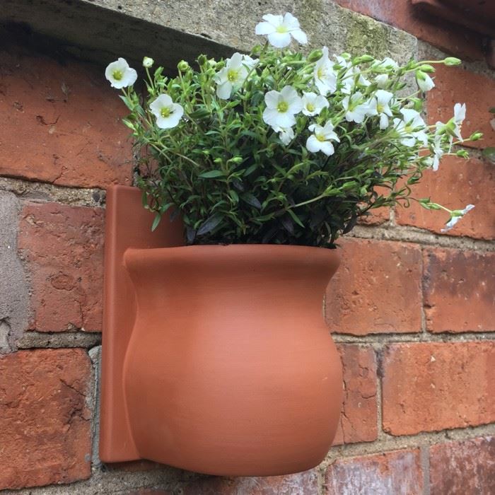Hanging Plants Indoor | Terracotta Wall Planters: An Indoor Oasis of Style and Functionality