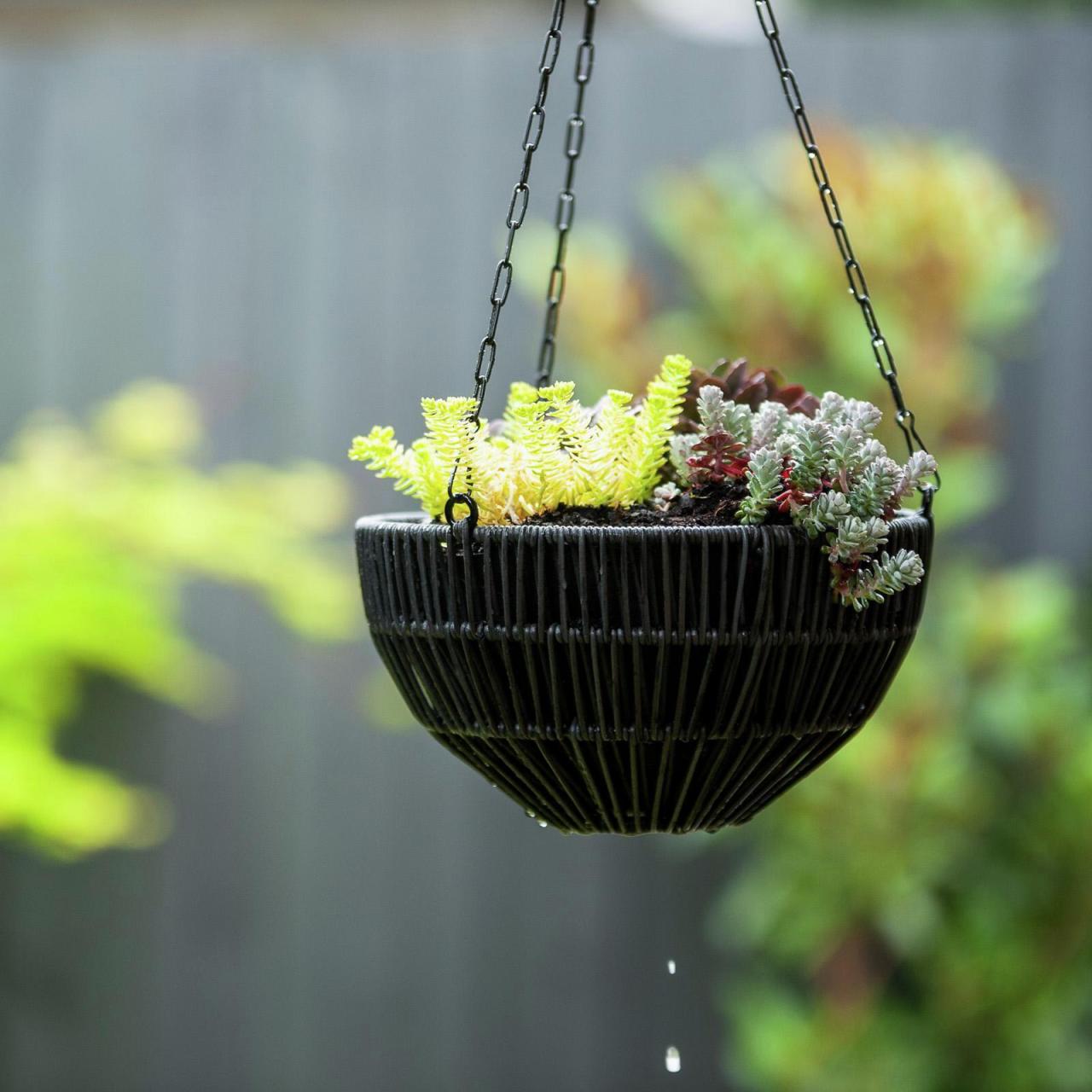 Hanging Plants Indoor | Half Hanging Baskets from Bunnings: A Versatile Addition to Your Home and Garden