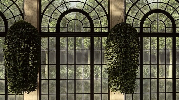Hanging Plants Indoor | 10 Hanging Plants to Elevate Your Lumion Scenes