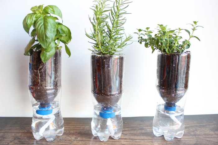 Hanging Plants Indoor | Watering Bottle for Hanging Plants at Bunnings: A Convenient and Eco-Friendly Solution