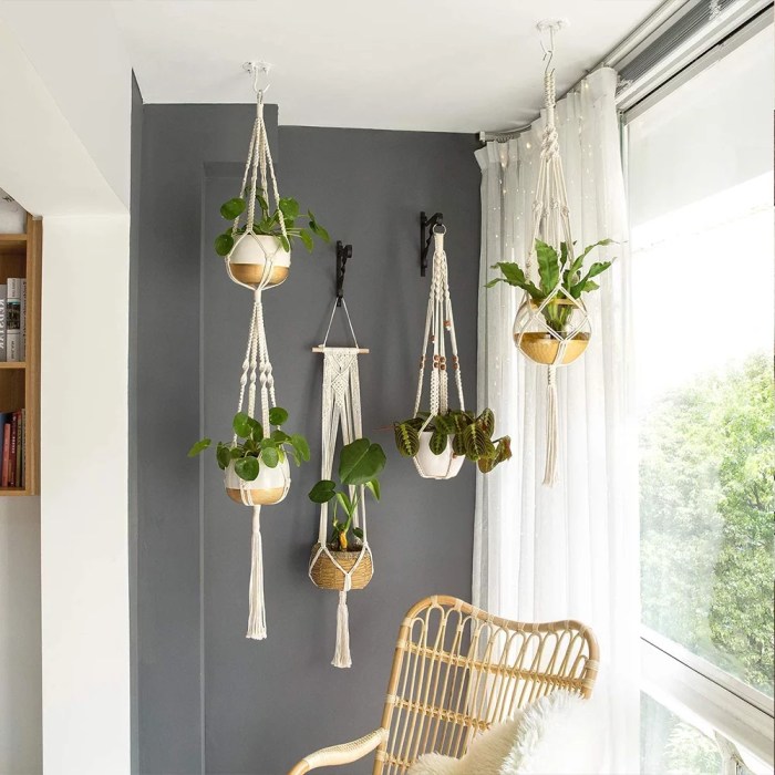 Hanging Plants Indoor | Basket Planters Indoor: Enhancing Home Decor with Natural Elegance