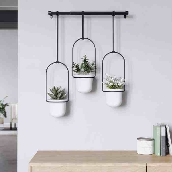 Hanging Plants Indoor | Hanging Plants for Living Rooms: Elevate Your Space with Greenery