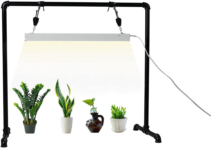 Hanging Plants Indoor | Grow Light for Hanging Plants: Enhance Your Indoor Greenery