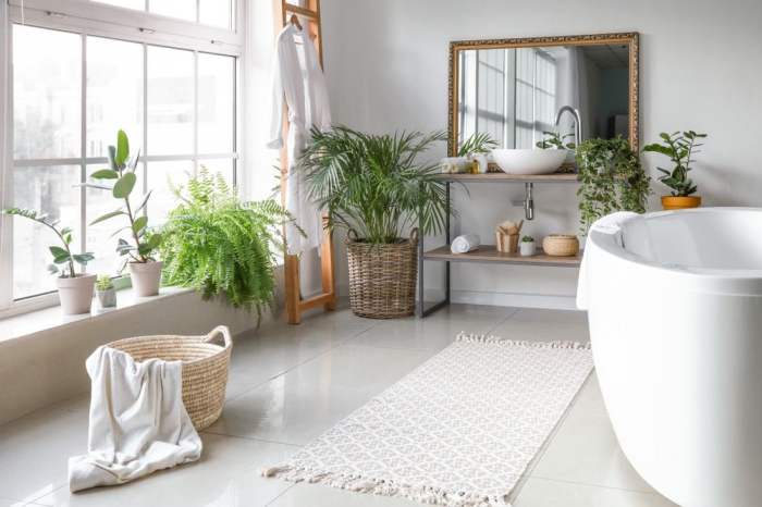 Hanging Plants Indoor | Best Plants for Humid Bathrooms: Transform Your Bathroom Oasis