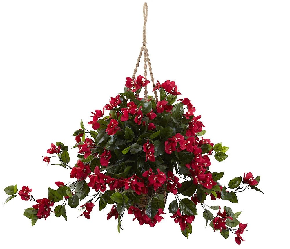 Hanging Plants Indoor | Hanging Plants with Red Flowers: A Guide to Varieties, Care, and Design