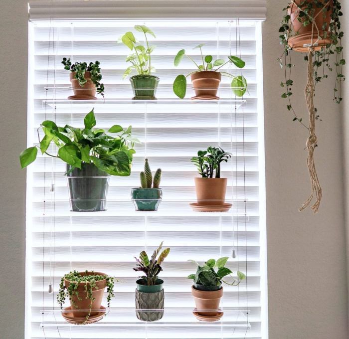 Hanging Plants Indoor | Hanging Plant Shelves: Enhancing Air Quality and Vertical Storage Indoors