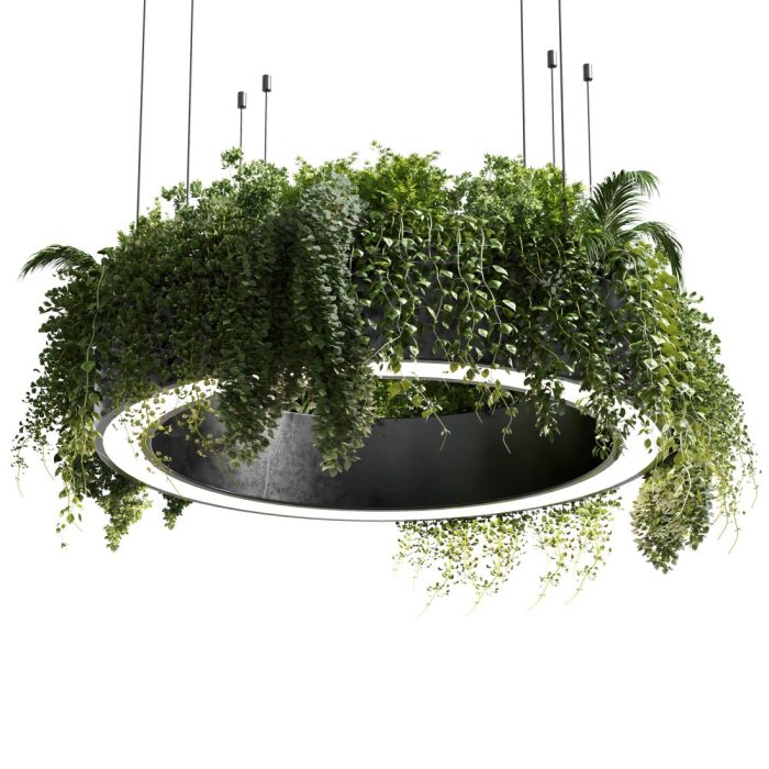 Hanging Plants Indoor | Hanging Plants with Lights: A Guide to Illuminating Your Greenery