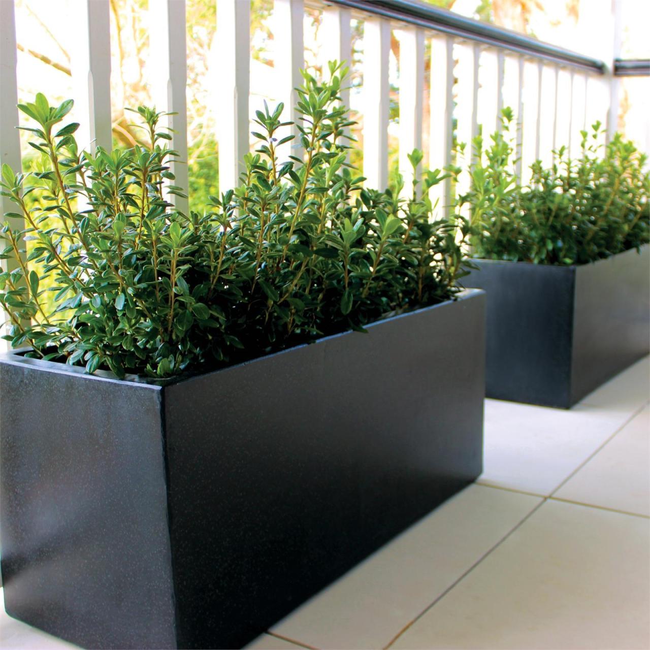 Hanging Plants Indoor | Bunnings Concrete Pots: A Versatile and Durable Choice for Outdoor Spaces
