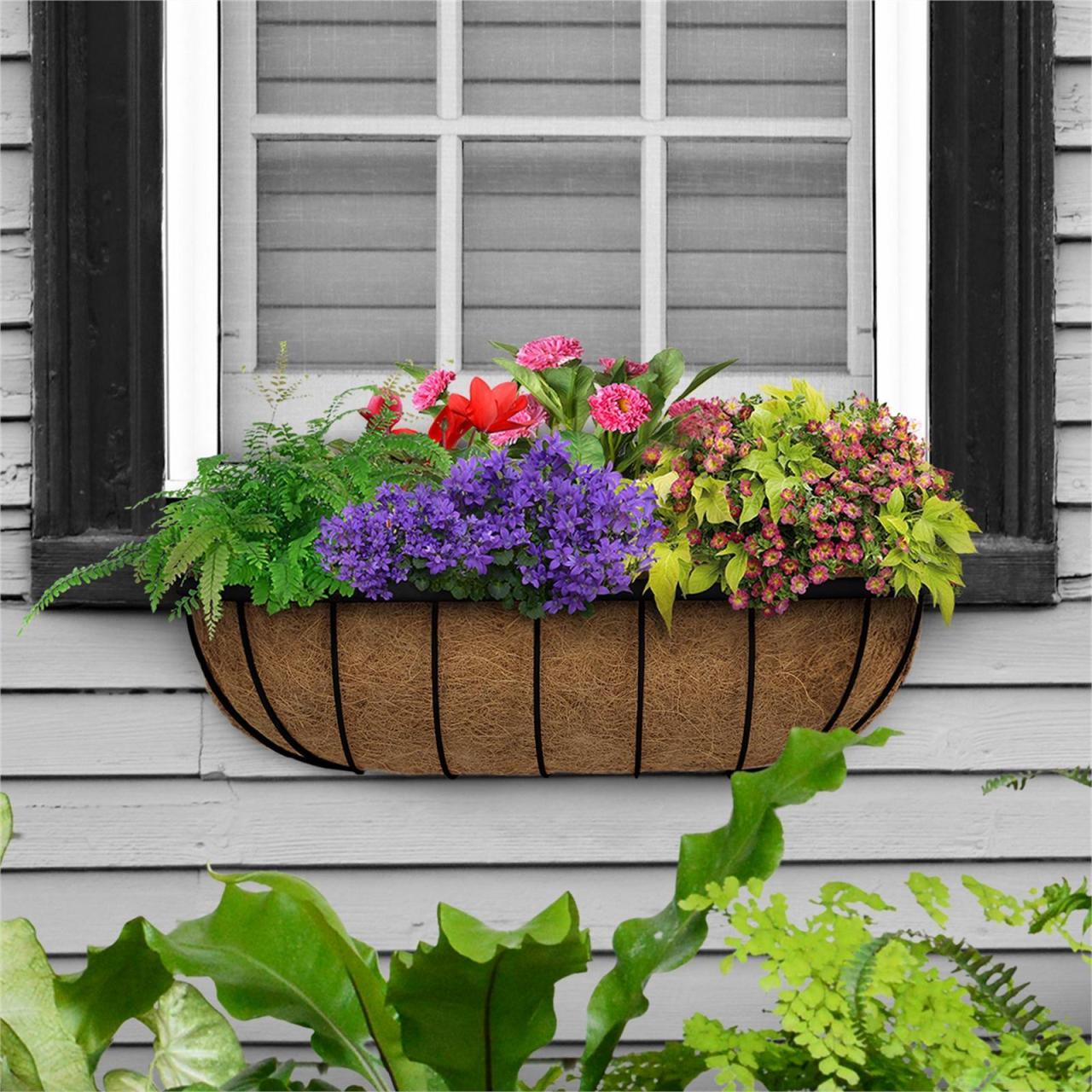 Hanging Plants Indoor | Bunnings Hanging Basket Plants: A Comprehensive Guide to Beauty and Blooms