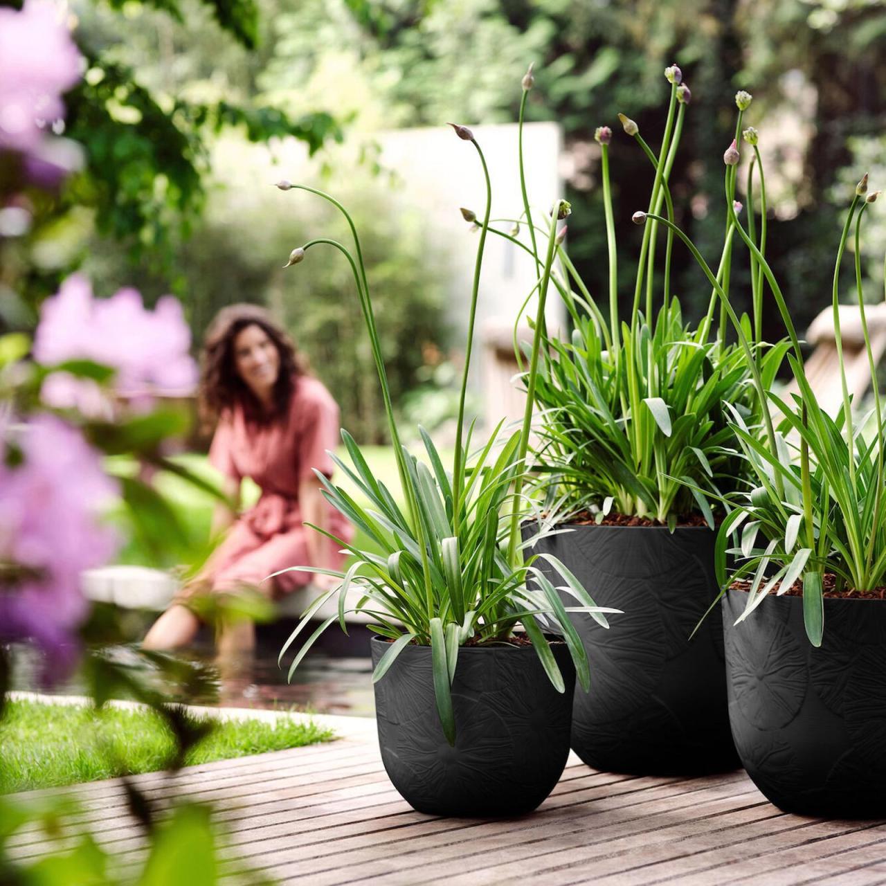 Hanging Plants Indoor | Bunnings Elho Pots: A Guide to Design, Durability, and Versatility