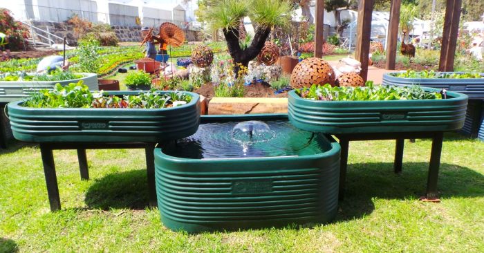 Hanging Plants Indoor | Aquatic Pots at Bunnings: Enhance Your Water Features