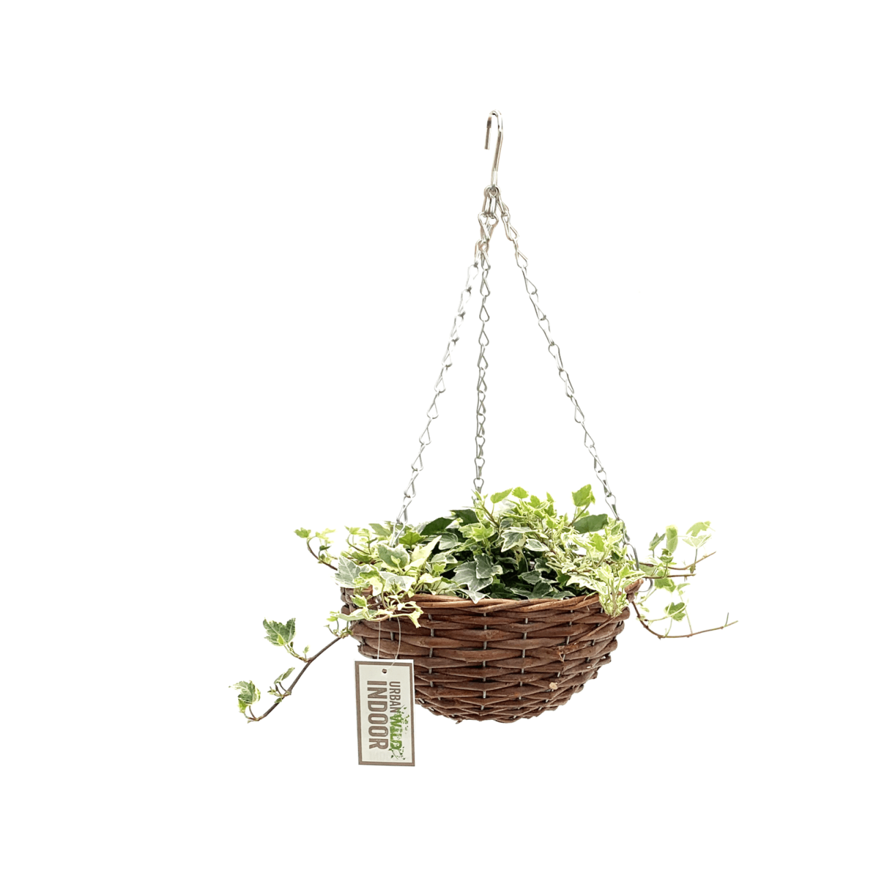 Hanging Plants Indoor | Cane Hanging Baskets: A Versatile Addition to Your Home Decor from Bunnings