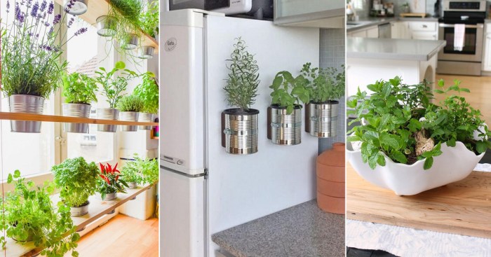 Hanging Plants Indoor | Wall Hanging Herb Garden Indoor: A Vertical Oasis in Your Home