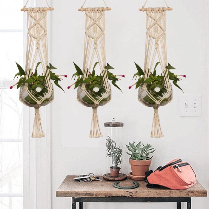 Hanging Plants Indoor | Macrame Plant Hangers: Create a Boho Chic Oasis Indoors