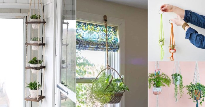 Hanging Plants Indoor | Hanging Plants with Rope: A Guide to Style, Care, and Display