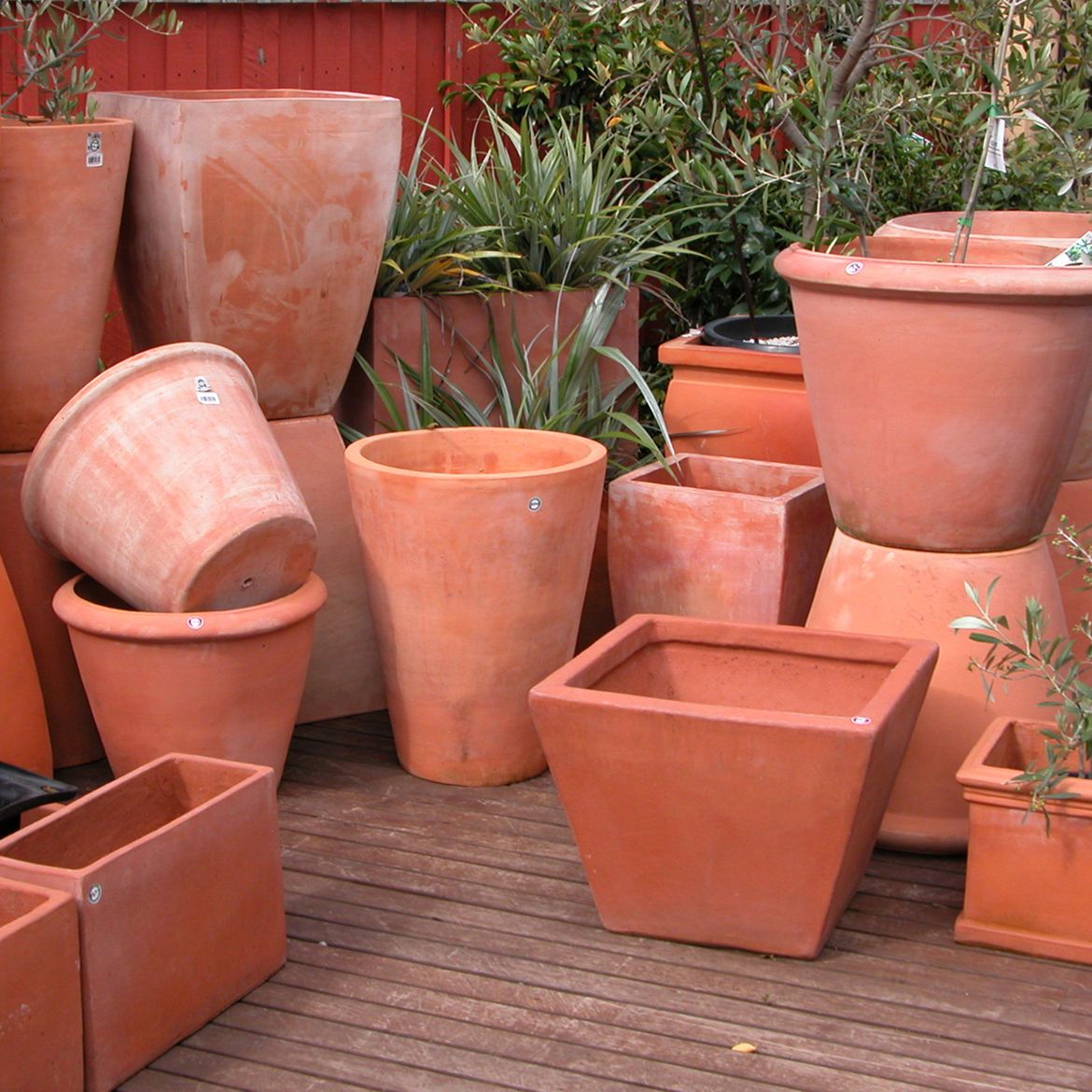 Hanging Plants Indoor | Bunnings Garden Pots Ceramic: Aesthetic Elegance for Your Outdoor Haven
