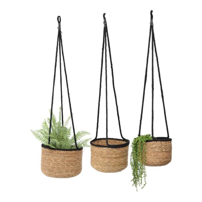 Hanging Plants Indoor | Black Indoor Hanging Planters: A Versatile Decor Option for Modern and Traditional Interiors