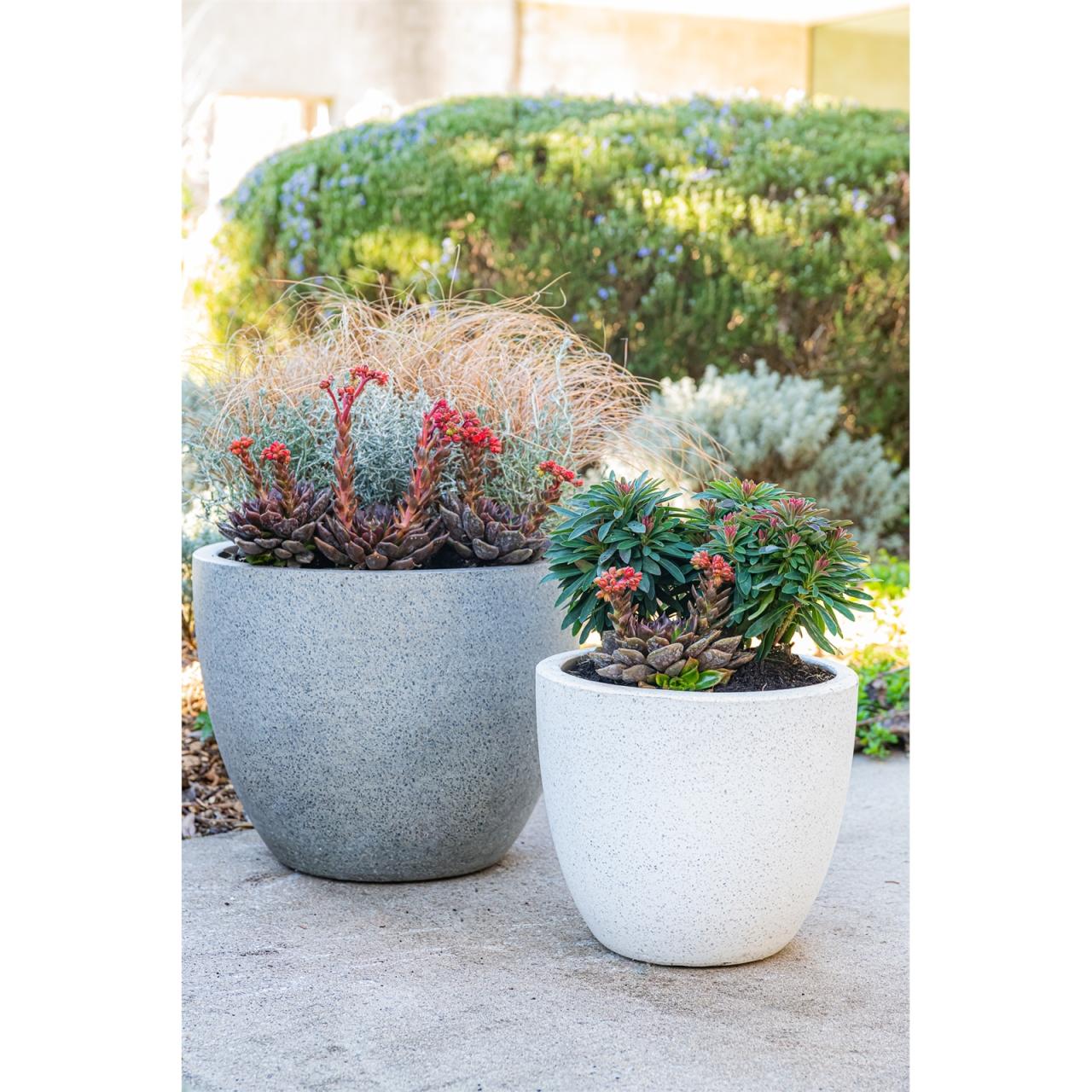 Hanging Plants Indoor | Bunnings Northcote Pottery Terrazzo: Design Ideas, Color Combos, and Techniques