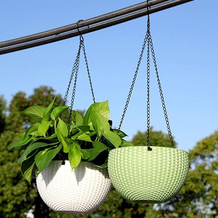 Hanging Plants Indoor | Hanging Flower Baskets: A Guide to Indoor Beauty