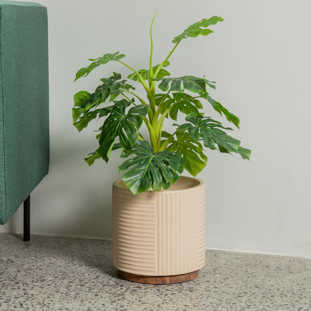 Hanging Plants Indoor | Bunnings Lotus Pots: A Comprehensive Guide to Aesthetics, Usage, and Care