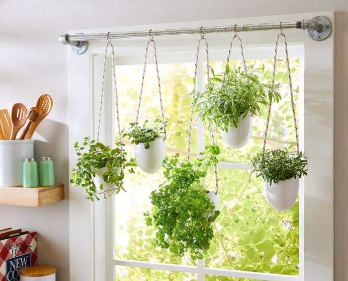 Hanging Plants Indoor | Hanging Plants Above Bathtub: Elevate Your Bathroom Sanctuary