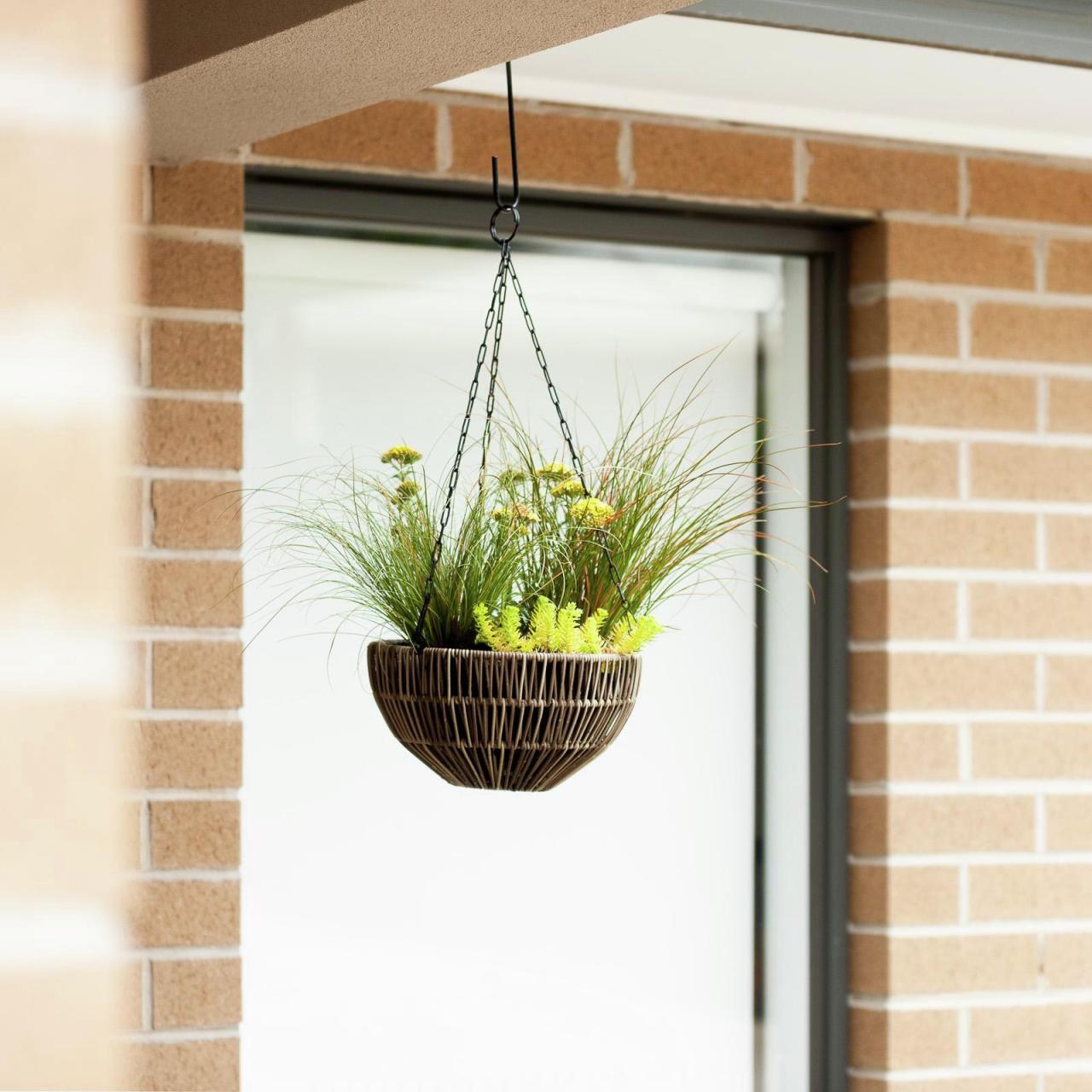 Hanging Plants Indoor | Hanging Baskets at Bunnings: A Guide to Varieties, Selection, and Care