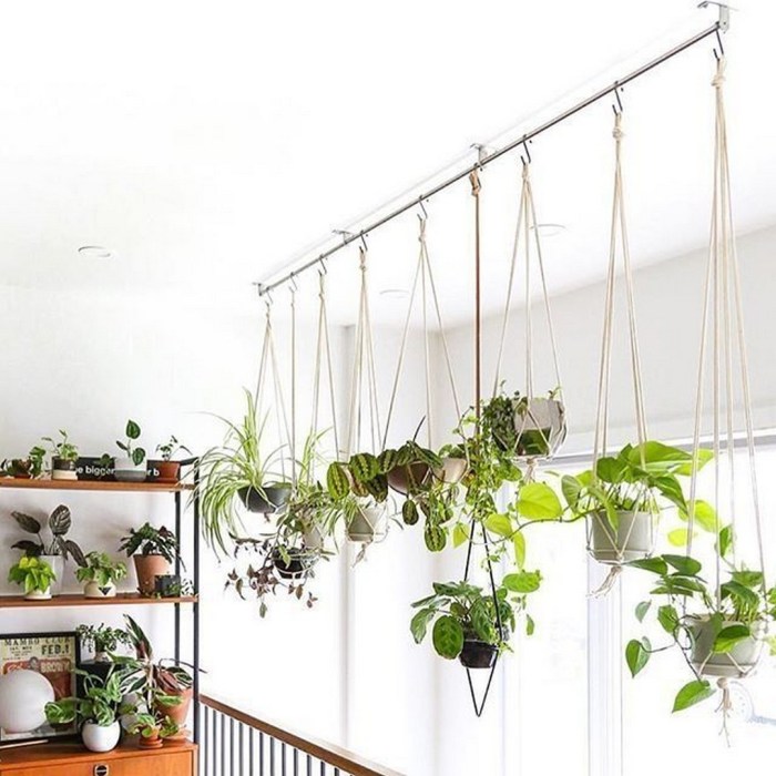 Hanging Plants Indoor | Hanging Plants Corner: A Comprehensive Guide to Creating Stunning Vertical Gardens