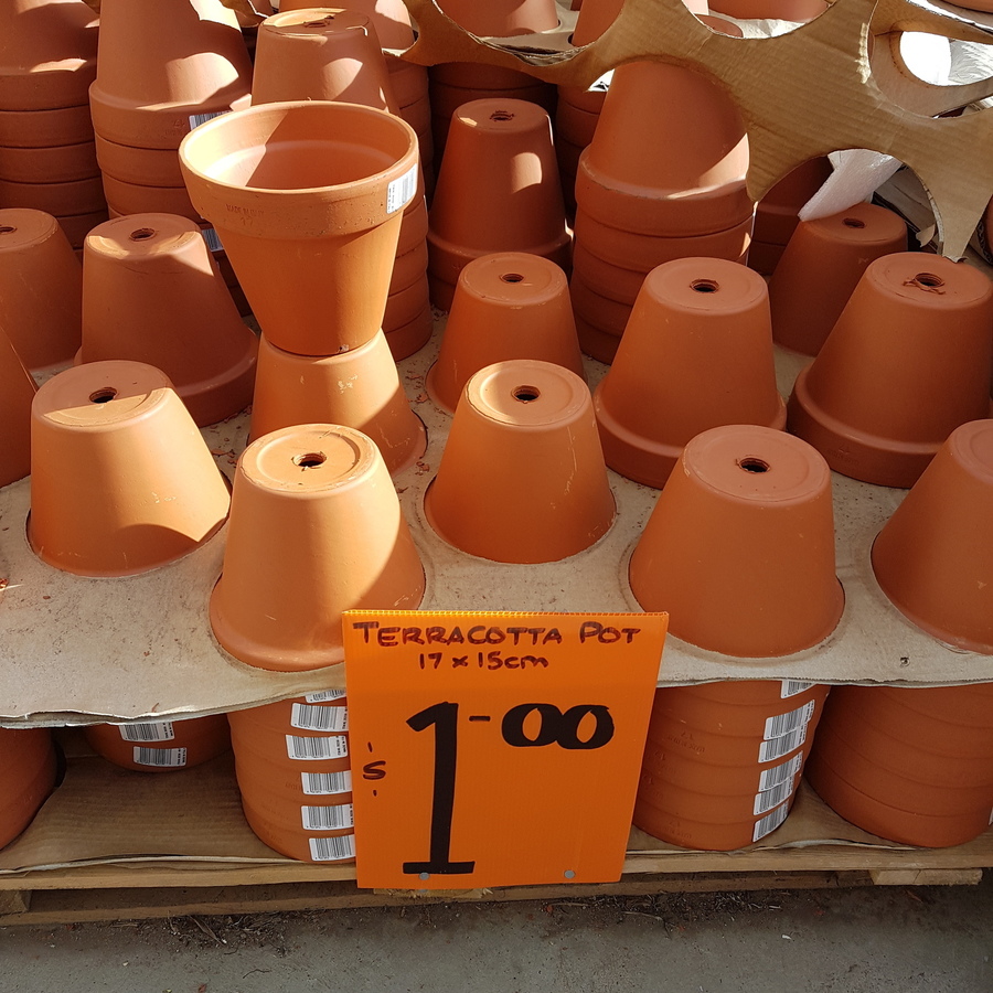 Hanging Plants Indoor | Discover the Versatility of Bunnings Mini Terracotta Pots