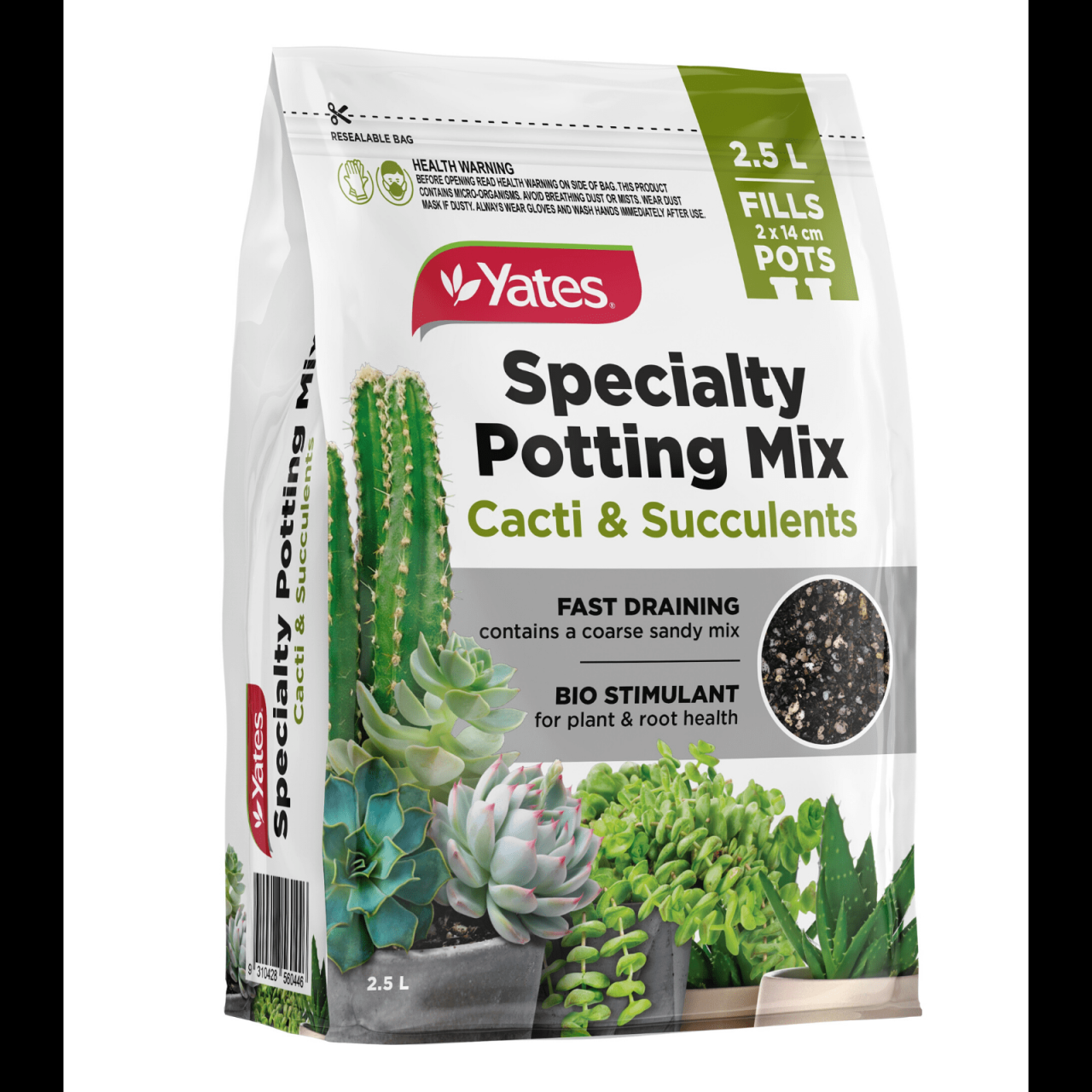 Hanging Plants Indoor | Bunnings Cacti Mix: The Ultimate Guide for Healthy Cacti