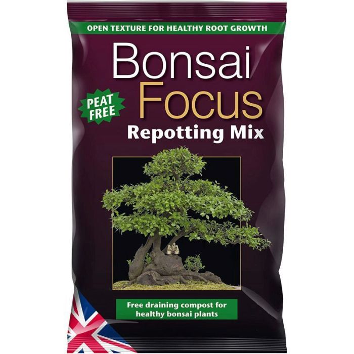 Hanging Plants Indoor | Bonsai Mix Bunnings: The Ultimate Guide to Choosing and Using the Right Soil