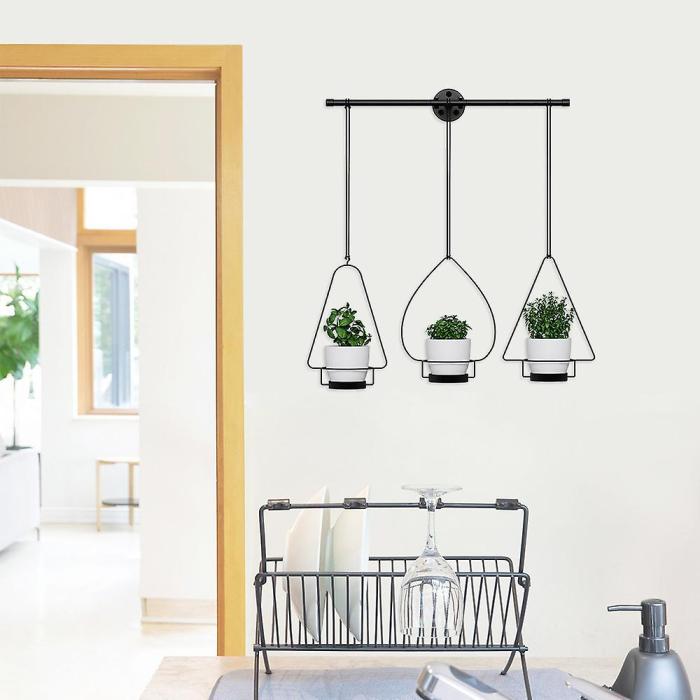 Hanging Plants Indoor | Hanging Plants Drainage: Ensuring Healthy Growth and Aesthetic Appeal