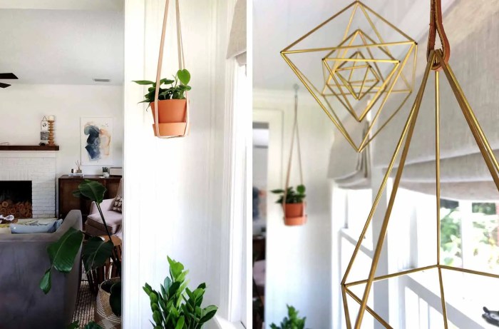Hanging Plants Indoor | 6 Dining Room Hanging Plants for an Enchanting Ambiance