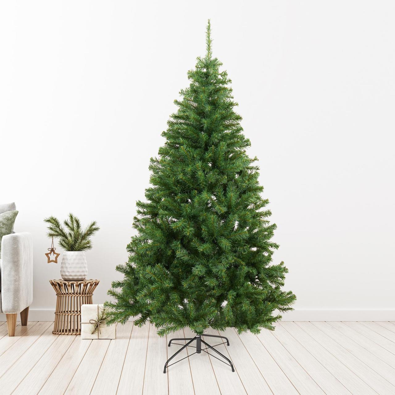 Hanging Plants Indoor | Bunnings Christmas Trees in Pots: A Guide to Selecting, Caring, and Storing Your Festive Foliage