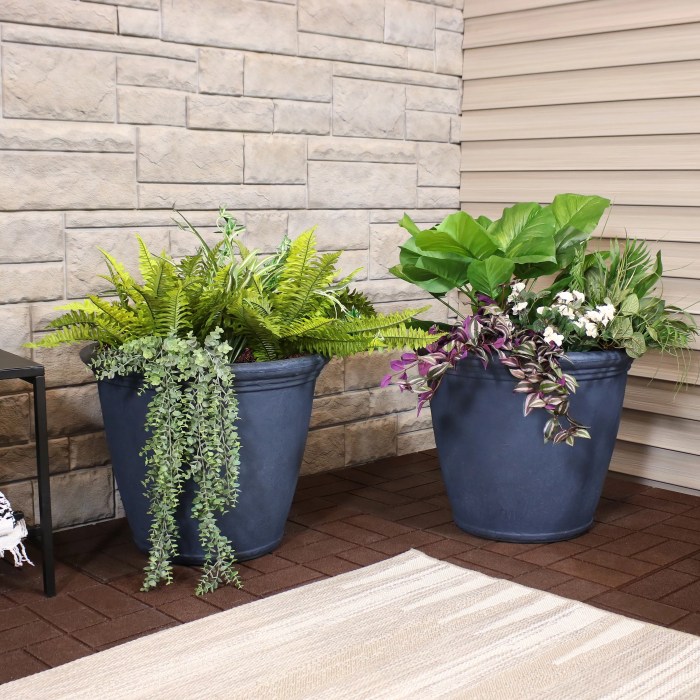 Hanging Plants Indoor | Best Plants to Pot: Elevate Your Indoor and Outdoor Spaces