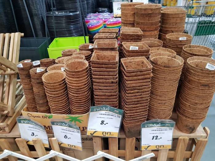 Hanging Plants Indoor | Biodegradable Pots at Bunnings: A Sustainable Gardening Solution
