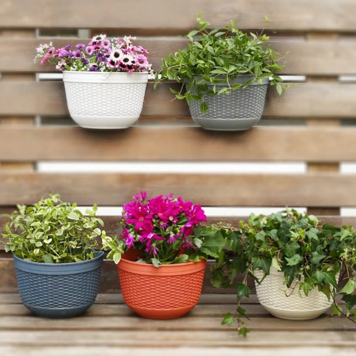 Hanging Plants Indoor | Bunnings Wall Hanging Pots: Elevate Your Decor with Style and Functionality