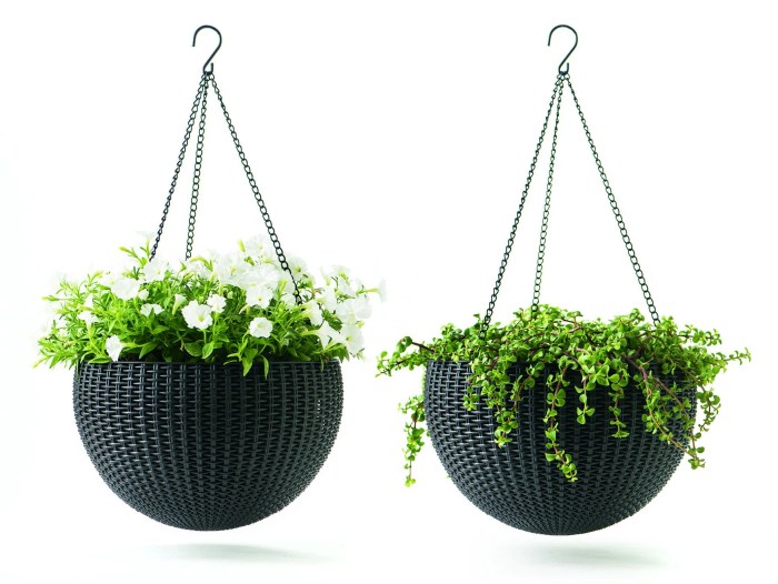 Hanging Plants Indoor | 10 Inch Indoor Hanging Planters: A Guide to Selecting, Installing, and Styling