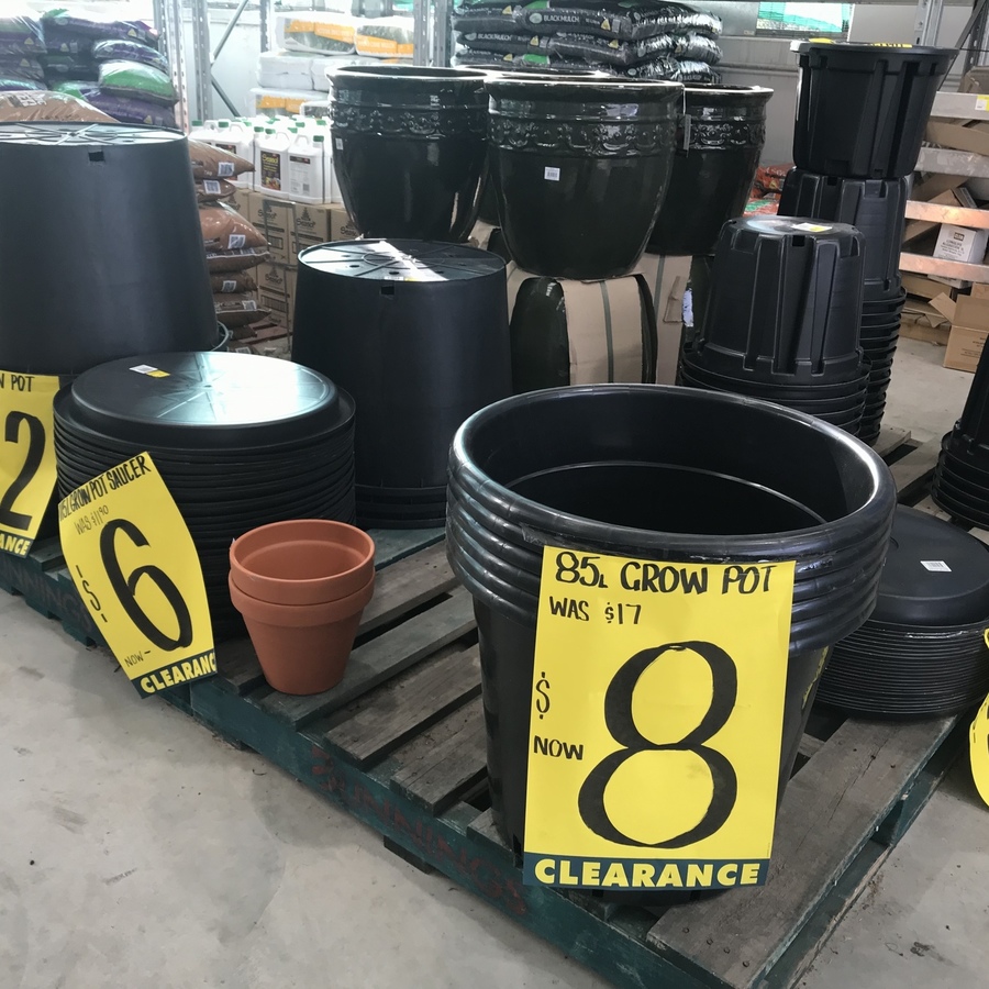 Hanging Plants Indoor | Discover Bunnings' Extensive Collection of Big Plant Pots for Every Need