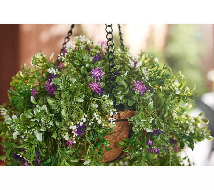 Hanging Plants Indoor | Garden Reflections 18 Cascading Indoor Outdoor Hanging Basket: A Symphony of Greenery