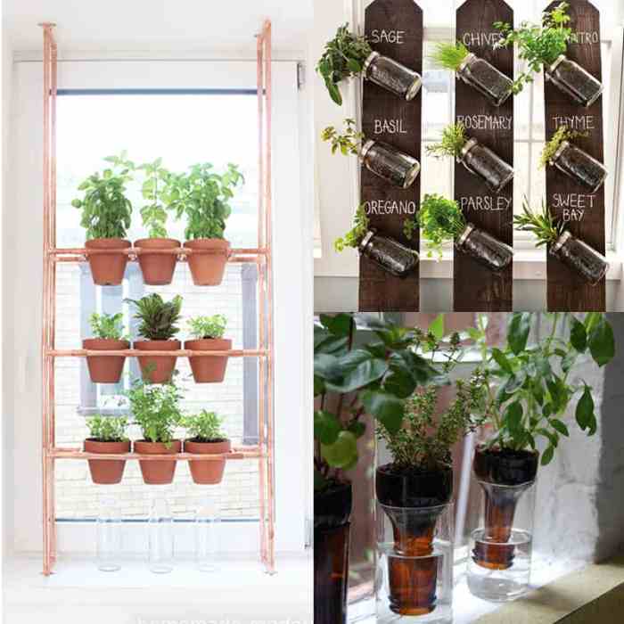 Hanging Plants Indoor | Hanging Herb Pots for Kitchen: A Culinary Oasis of Convenience and Freshness