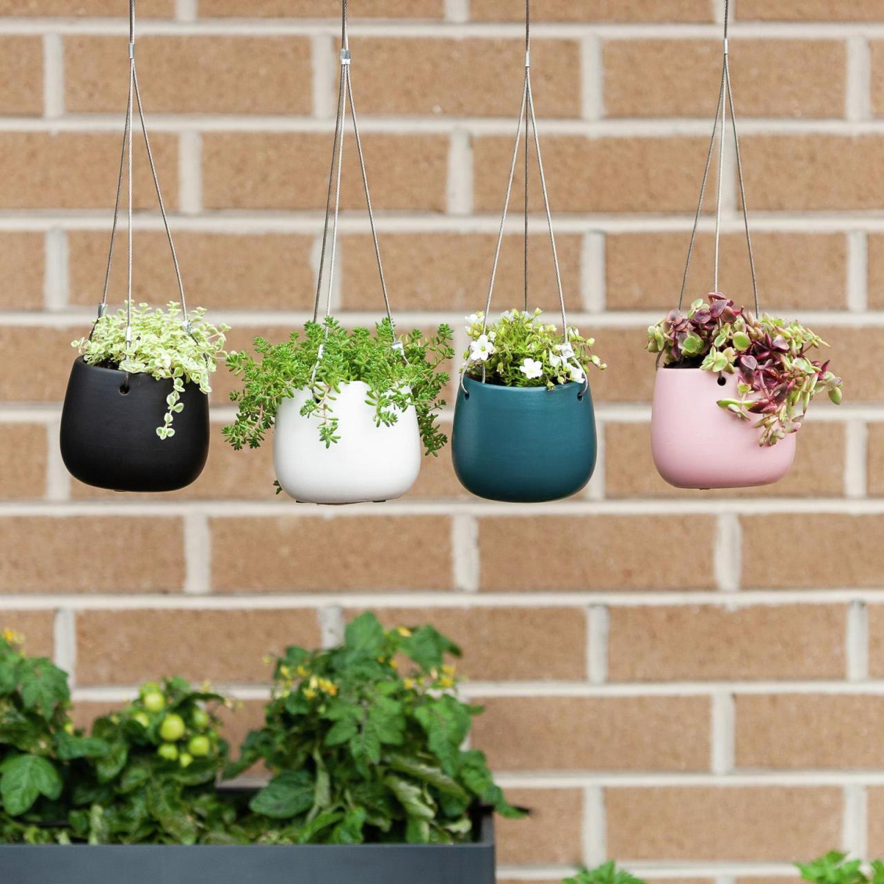 Hanging Plants Indoor | Half Hanging Baskets from Bunnings: A Versatile Addition to Your Home and Garden