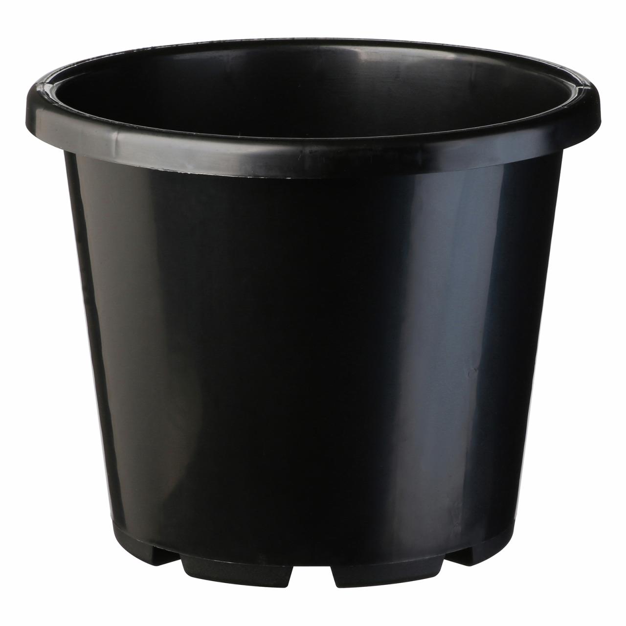 Hanging Plants Indoor | Bunnings Black Plastic Pot: A Versatile Solution for Gardening