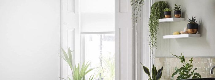 Hanging Plants Indoor | 10 Hanging Plants from John Lewis to Elevate Your Home Decor