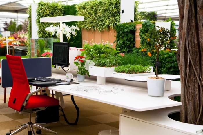 Hanging Plants Indoor | Best Plants for Office Window: Purify, Boost Mood, Enhance Ambiance