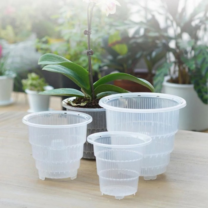 Hanging Plants Indoor | Bunnings Clear Plastic Pots: A Comprehensive Guide to Features, Benefits, and Uses