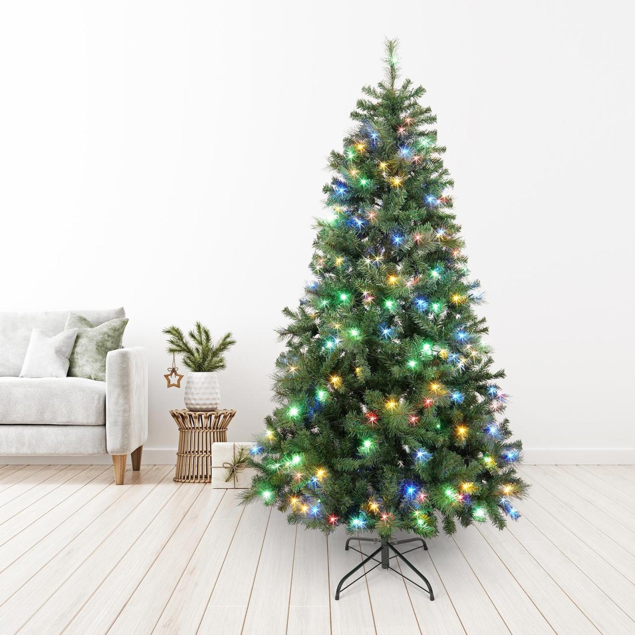 Hanging Plants Indoor | Bunnings Christmas Trees in Pots: A Guide to Selecting, Caring, and Storing Your Festive Foliage