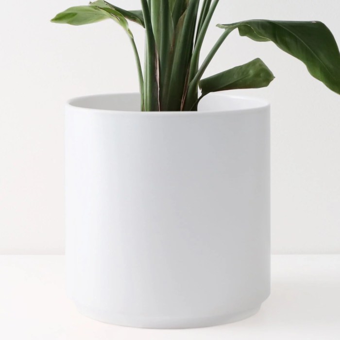 Hanging Plants Indoor | Discover the Allure of Bunnings Ceramic Pots for Indoor Greenery