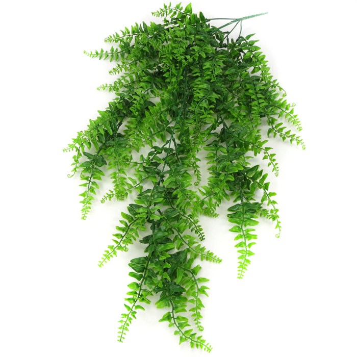 Hanging Plants Indoor | Green Indoor Hanging Plants: Enhancing Air Quality and Aesthetics