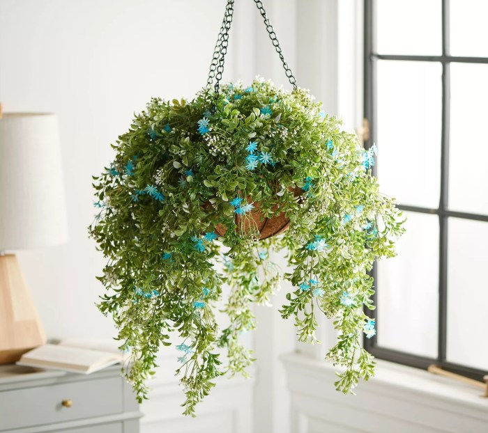 Hanging Plants Indoor | Cascading Plants Indoors: A Guide to Greenery That Flows