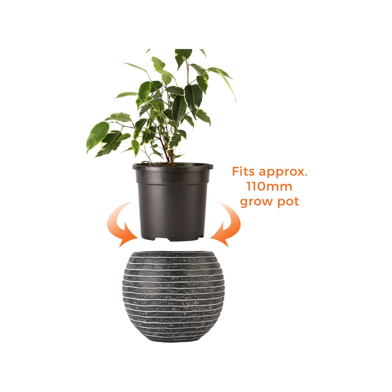 Hanging Plants Indoor | Explore Bunnings Indoor Plant Pots: Enhance Your Home Decor